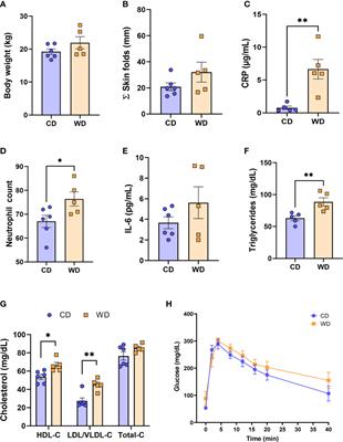 Western diet-induced shifts in the maternal microbiome are associated with altered microRNA expression in baboon placenta and fetal liver